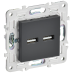 SKANDY Розетка USB A+A 3,1А SK-R15T титан IEK