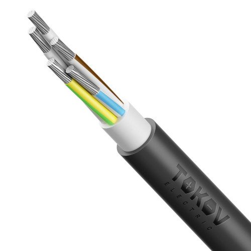 Кабель TOKOV ELECTRIC АВВГнг(А)-LS 5х50 МК (N PE) 0.66кВ (м) 00-00072436