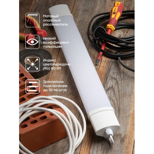 ДСП-1002 18Вт 6500К IP65 600мм EKF PROxima