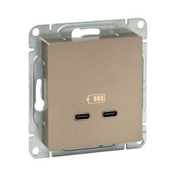 Механизм роз., USB-C - 2шт, шамп., Эпика EKF
