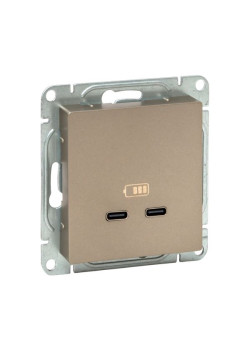 Механизм роз., USB-C - 2шт, шамп., Эпика EKF
