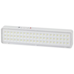 Светильник светодиодный DBA-103-0-20 60LED 5ч IP20 аварийный непостоянный Эра Б0044396