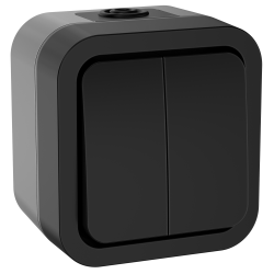 TORS Выключатель двухклавишный 10А IP55 TS105 графит IEK