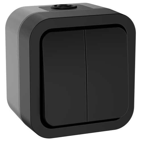TORS Выключатель двухклавишный 10А IP55 TS105 графит IEK