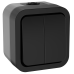 TORS Выключатель двухклавишный 10А IP55 TS105 графит IEK TORS Выключатель двухклавишный 10А IP55 TS105 графит IEK