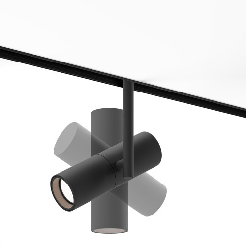 Maytoni TR005-2-12W4K-B