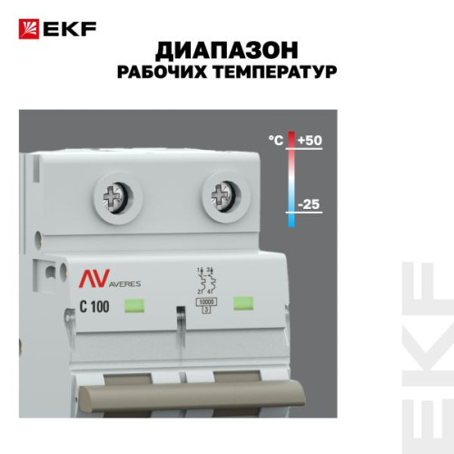 AV-125 2P 100A (C) 10kA EKF AVERES