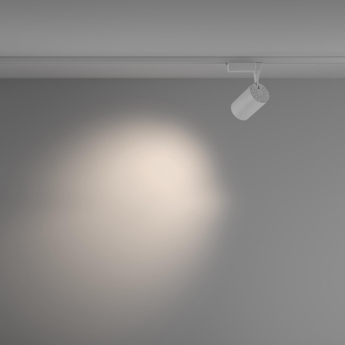 Maytoni TR003-1-15W4K-M-W