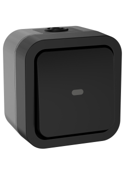 TORS Переключатель одноклавишный с индикацией 10А IP55 TS102 графит IEK