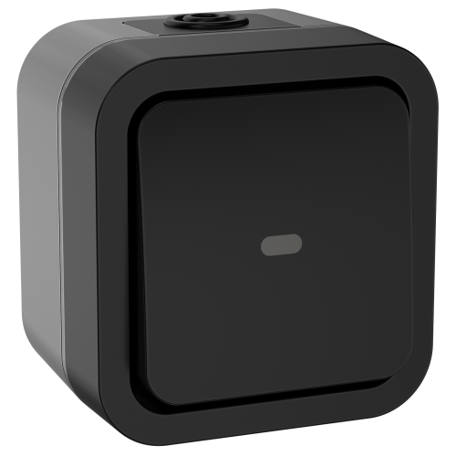 TORS Переключатель одноклавишный с индикацией 10А IP55 TS102 графит IEK