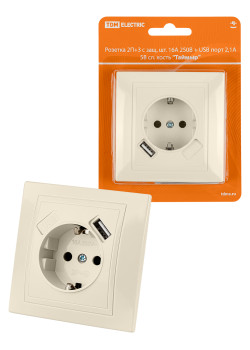 Розетка 2П+З с защ. шт. 16А 250В + USB порт 2,1А 5В сл. кость 