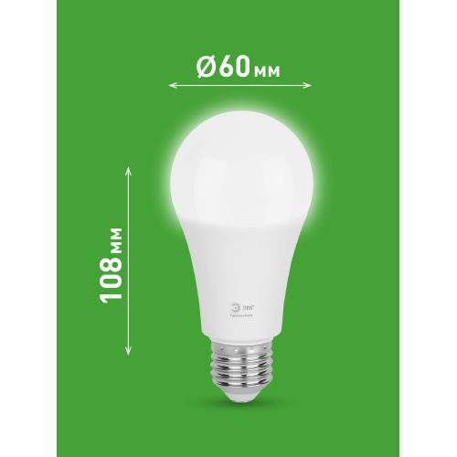 Лампа светодиодная GREEN LINE A60-25W-840-E27 GL 25Вт груша 4000К яркий свет бел. E27 Эра Б0067117 Лампа светодиодная GREEN LINE A60-25W-840-E27 GL 25Вт груша 4000К яркий свет бел. E27 Эра Б0067117