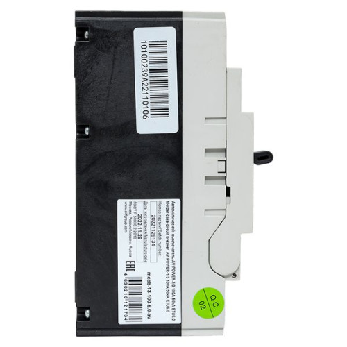AV-POWER-1/3 100А 50кА ETU6.0 EKF