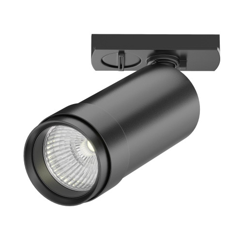 Maytoni TR021-1-124K-Z-B