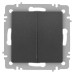 Выключатель 2-кл. СП Accent 6-104-07 10А IP20 250В AL/CU графит Intro Б0063493 Выключатель 2-кл. СП Accent 6-104-07 10А IP20 250В AL/CU графит Intro Б0063493
