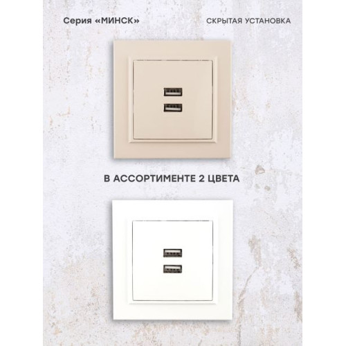 Минск Розетка USB 2-мест. СП 2,1А беж. EKF
