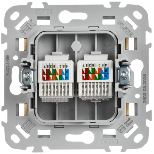 FLITE Розетка 2-местная компьютерная RJ45 категория 5Е UTP РК5е-2-0-ФлШм шамуа IEK