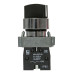Переключатель BD21 2P короткая ручка NO IP65 EKF