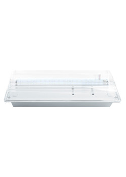 Светильник аварийный, 20 LED AC/DC, белый, EM100