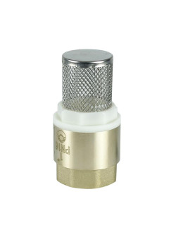 Клапан обратный с фильтром 1дюйм (80/10) К VALFEX VF.161.NS.100