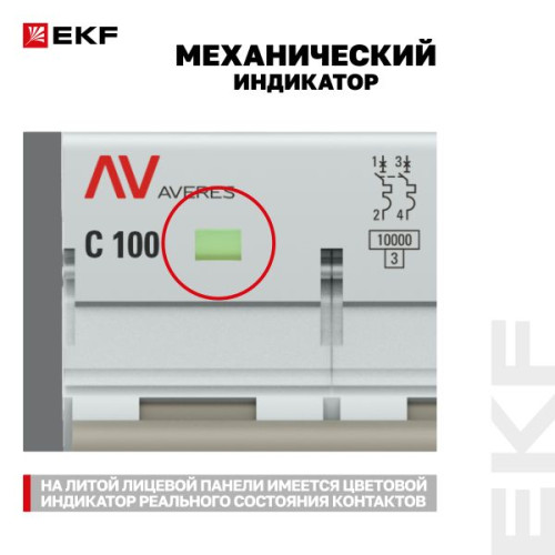 AV-125 2P 100A (C) 10kA EKF AVERES