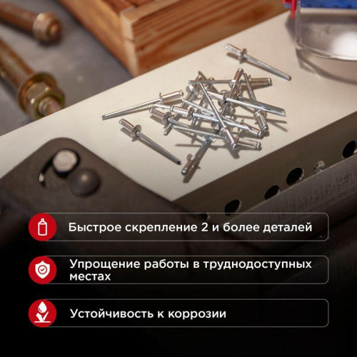 Заклепки 4.8х8мм (уп.50шт) Rexant 12-5362 Заклепки 4.8х8мм (уп.50шт) Rexant 12-5362