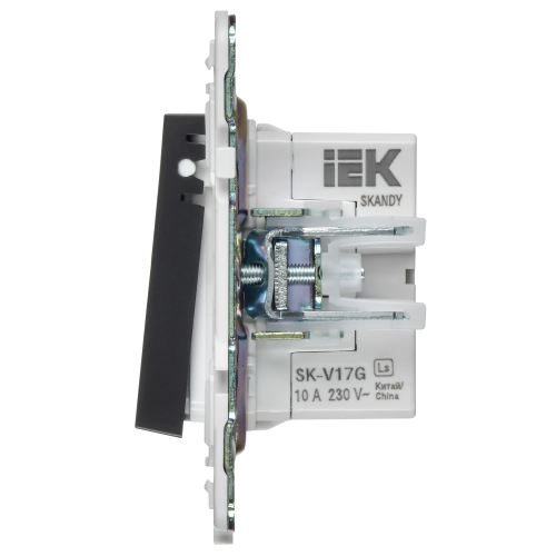 SKANDY Кнопка звонка с индикацией для отелей 10А SK-V17G графит IEK