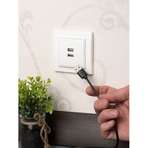 Минск Розетка USB 2-мест. СП 2,1А бел. EKF Минск Розетка USB 2-мест. СП 2,1А бел. EKF