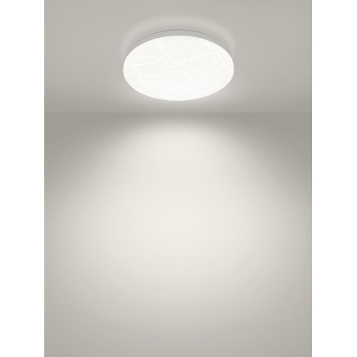Светильник LED потолочный ДПБ 03, 24 Вт, 4000 К, Геометрия, терм. упак.,TDM