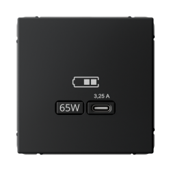 ARTGALLERY USB РОЗЕТКА тип-С 65Вт высокоскор.заряд. QC, PD, механизм, КАРБОН