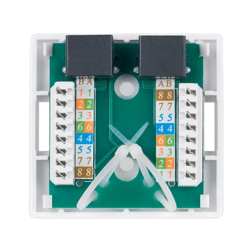 Розетка компьютерная 2-м ОП WS-8P8C-Cat.5e-2 RJ45 кат.5E Dual IDC Cabeus 7247c Розетка компьютерная 2-м ОП WS-8P8C-Cat.5e-2 RJ45 кат.5E Dual IDC Cabeus 7247c