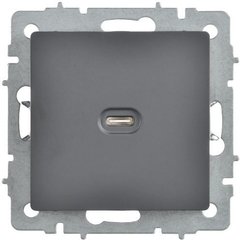 BRITE Розетка USB C 65Вт высокоскоростная зарядка РЮ12-1-БрГ графит IEK BRITE Розетка USB C 65Вт высокоскоростная зарядка РЮ12-1-БрГ графит IEK