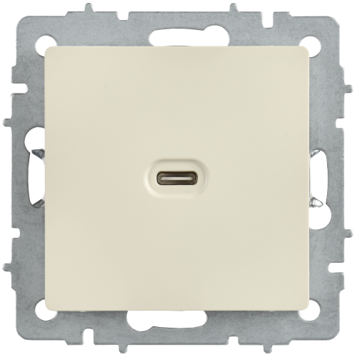 BRITE Розетка USB C 65Вт высокоскоростная зарядка РЮ12-1-БрКр бежевый IEK BRITE Розетка USB C 65Вт высокоскоростная зарядка РЮ12-1-БрКр бежевый IEK
